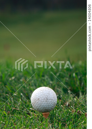 Golf ball on the grass Golf ball on the grass 14004806