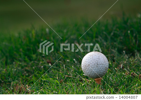 Golf ball on the grass Golf ball on the grass 14004807