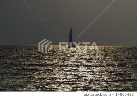 Catamaran at Sunset. Catamaran at Sunset. 14005488