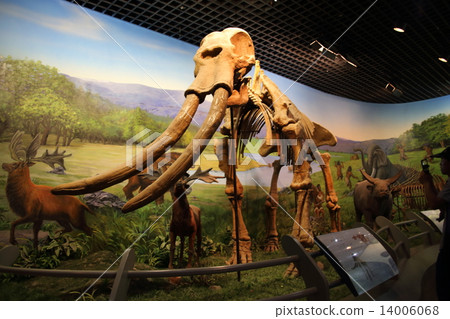 Hohhot Inner Mongolia Museum Hohhot Inner Mongolia Museum 14006068