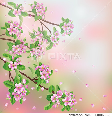 Spring background Spring background 14006382