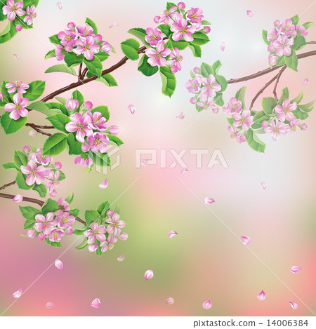 Spring background 14006384