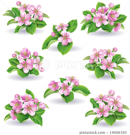 Floral set 14006385