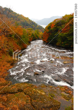 View from the Ryuzo No Bridge in Yukawa / Ryuzo No Taki direction (Nikko city, Tochigi prefecture) 14007860