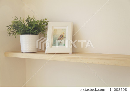 你這是一種觀賞植物 你這是一種觀賞植物 14008508