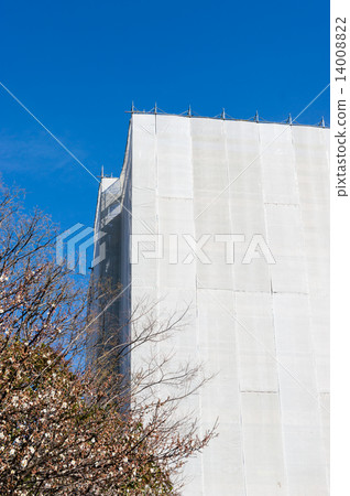 Mansion repair work 14008822