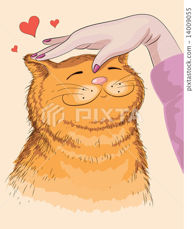 Hand and red cat 14009055