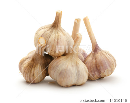Garlic bulbs Garlic bulbs 14010146