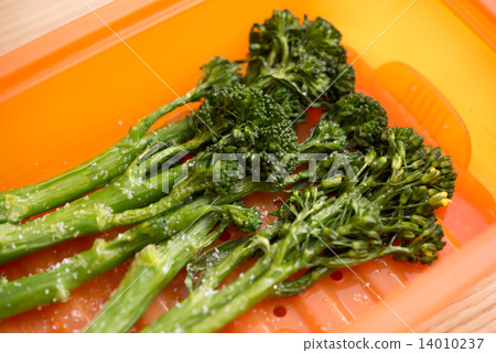 Stick Senor 14010237