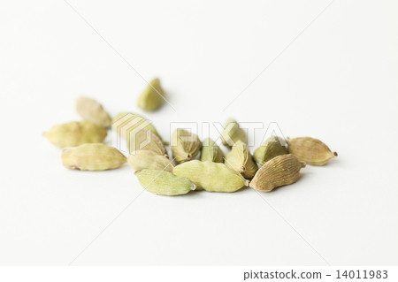 cardamom cardamom 14011983