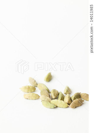 cardamom 14011985