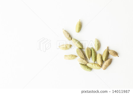 cardamom 14011987
