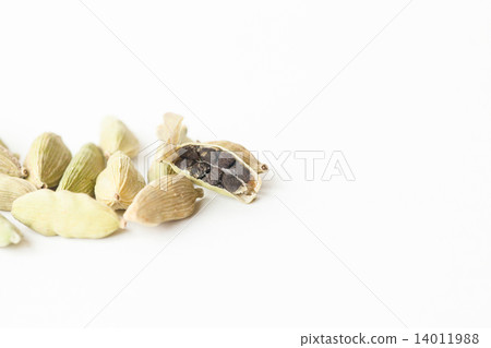 cardamom cardamom 14011988