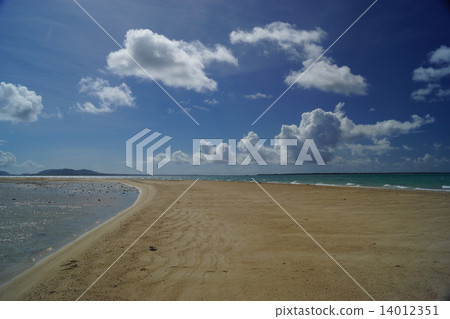 幻影島（濱島） 14012351