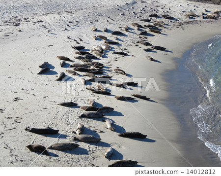 聖地亞哥La Joya 聖地亞哥La Joya 14012812