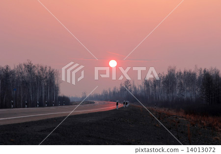 Road to Siberia in winter sunset. 14013072