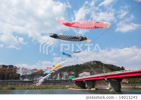 Carp streamer 003 14013245
