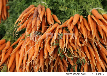 Carrot vegetables Fresh vegetables British Cambridge Grand Market 14013917