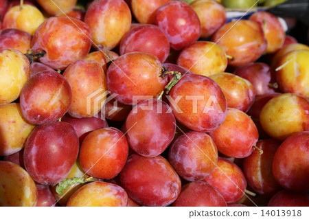 Fruit apricot Sumomo UK Cambridge Grand Market 14013918