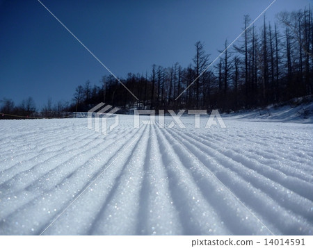 在滑雪勝地的雪標記 在滑雪勝地的雪標記 14014591