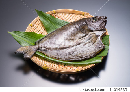 幹的愛國者 幹的愛國者 14014885