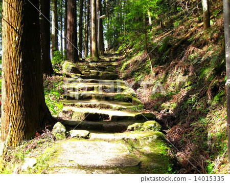 Red-Eyes Advance Falls 14015335