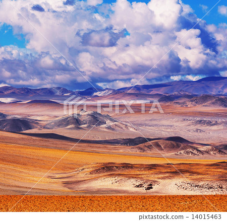 Northern Argentina 14015463