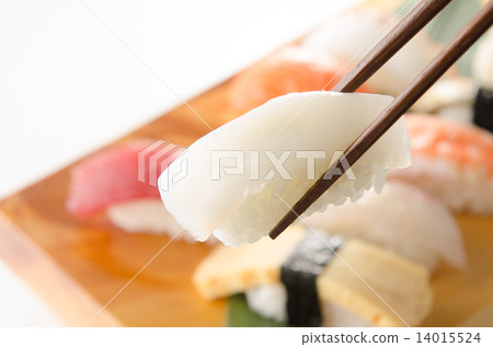 Squid sushi 14015524