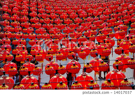 Chinese Lanterns 14017037