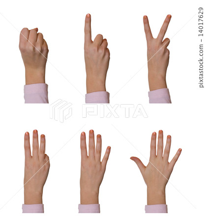 Hands, counting 0 to 5 Hands, counting 0 to 5 14017629