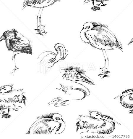 Seamless background with birds 14017755