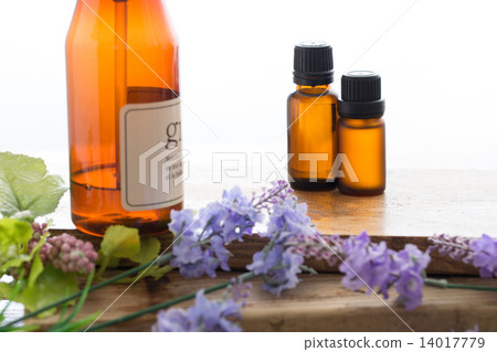 Esthetic salon 14017779