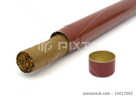 Cigar in box, close-up 14017985