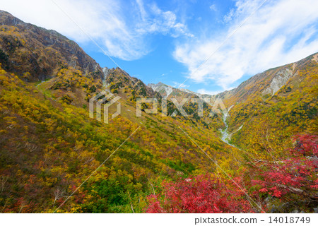 Hokkaido Hodaka Fringe Autumn leaves of late Karl 14018749
