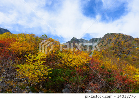 Hokkaido Hodaka Fringe Autumn leaves of late Karl 14018770