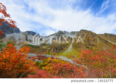 Hokkaido Hodaka Fringe Autumn leaves of late Karl 14018775