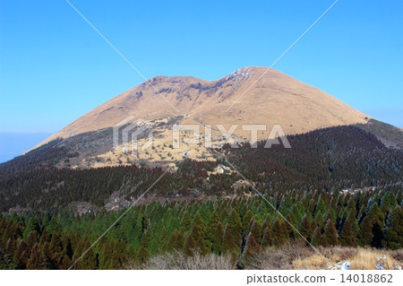 麻生島丸子 14018862