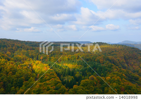 Aokamori Hakkoda山山麓小丘秋葉 14018998