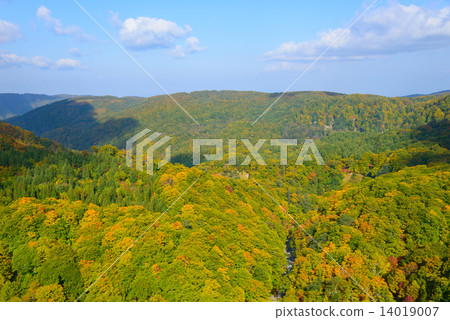 Aokamori Hakkoda山山麓小丘秋葉 14019007