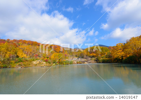 青森Hakkoda山dewa秋葉 14019147