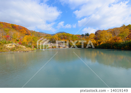 青森Hakkoda山dewa秋葉 14019149