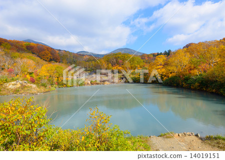 青森Hakkoda山dewa秋葉 青森Hakkoda山dewa秋葉 14019151