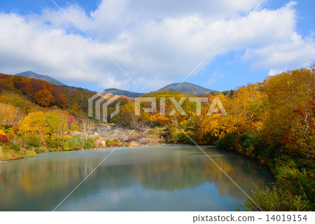 Autumn leaves of Aomori Hakkoda mountain dewa 14019154