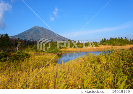 Aomori Hakkoda mountain and autumn leaves of the water lily field 14019169