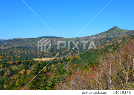 秋天的八幡平 14019378