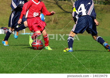 足球 足球 14019479