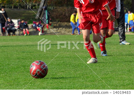 Football Football 14019483