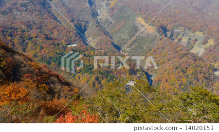 在Irohazaka櫪木Okuhiko的秋葉 在Irohazaka櫪木Okuhiko的秋葉 14020151