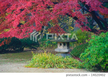 東京Komagome Rokugien秋葉 14020402