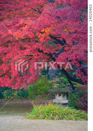 東京Komagome Rokugien秋葉 14020403